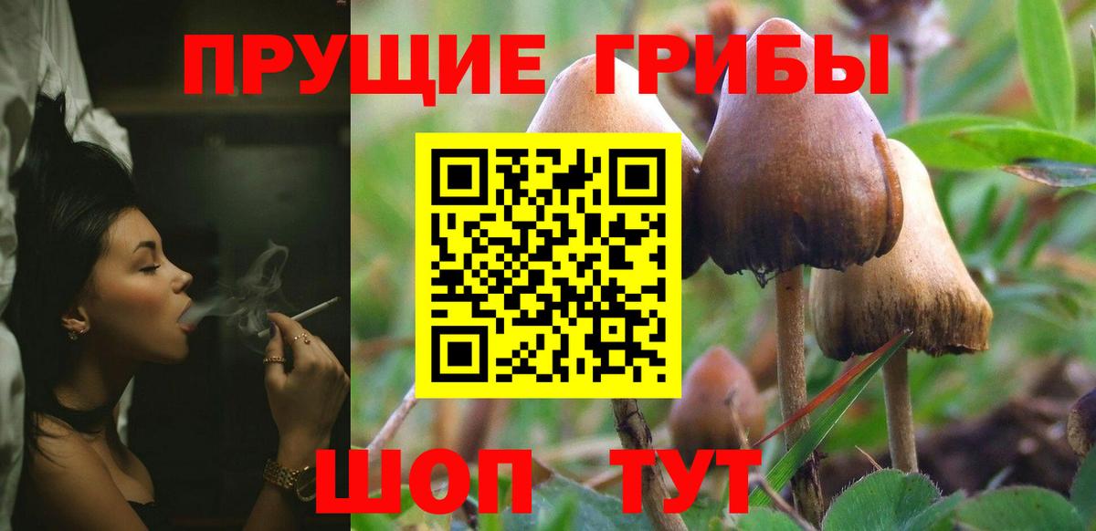 купить наркоту  Галлюциногенные грибы Cubensis  Галлюциногенные грибы GOLDEN TEACHER  Вход с VPN  Усинск 